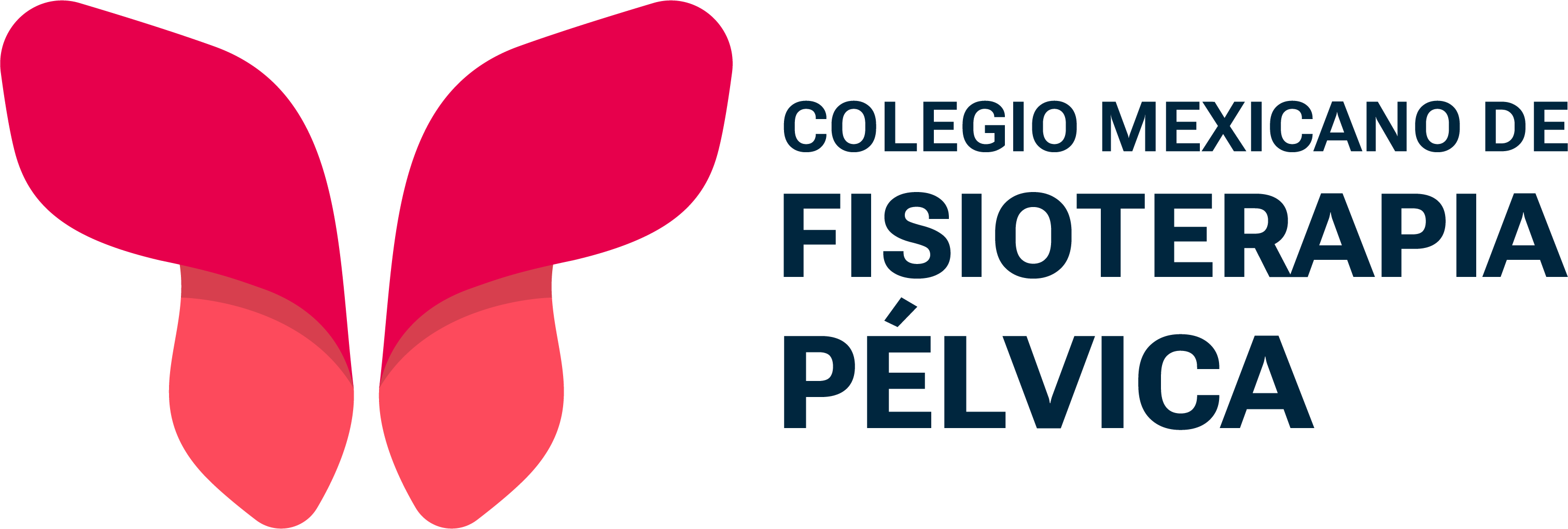 Logotipo completo COMFIP